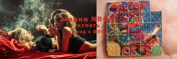 прущий лед Краснослободск