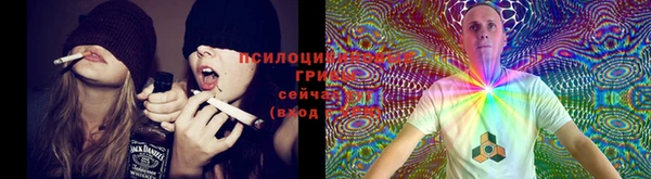 прущий лед Краснослободск